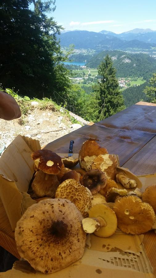Koca Na Talezu Acomodação com café da manhã Ribno Exterior foto